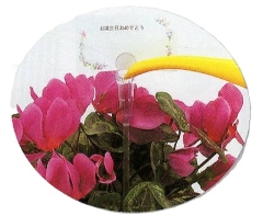 SELON/EH[^bg@20{