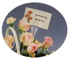 SELON/EH[^bg@20{