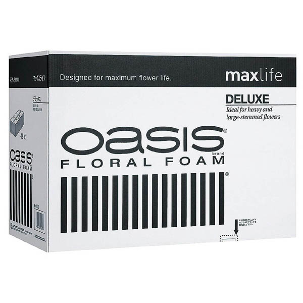 オアシス　OASIS  直筆サイン　メンバー４人　ホログラムID証明書　新品 ミントモール / MINT 浦和店 / 2020 BBM Fusion 横浜